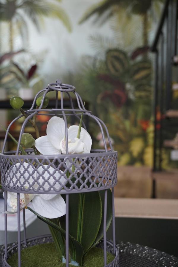 Appart Cosy 4 Personnes Avec Terrasse 라로츠수르욘 외부 사진